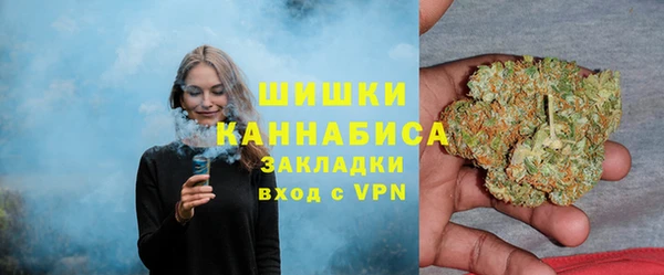 меф Ельня