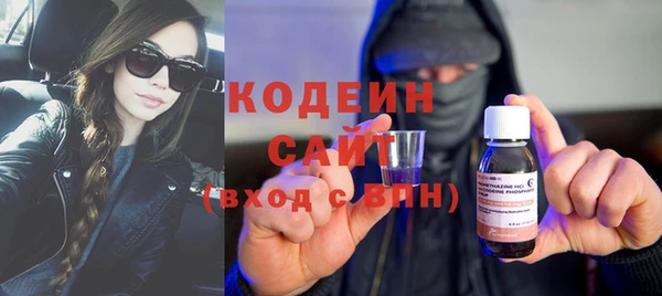 меф Ельня