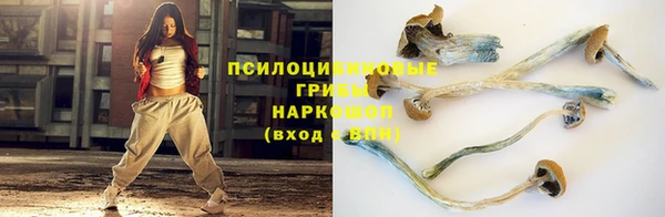 меф Ельня