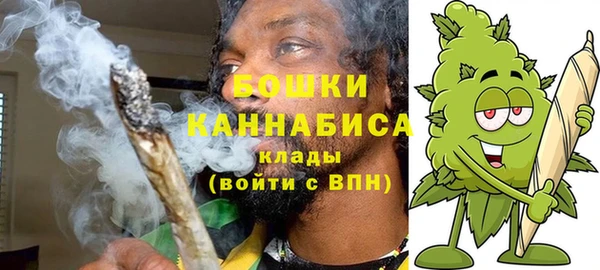 меф Ельня