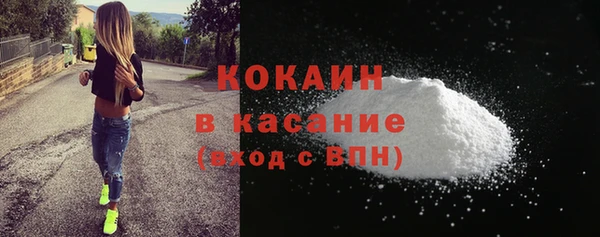 меф Ельня