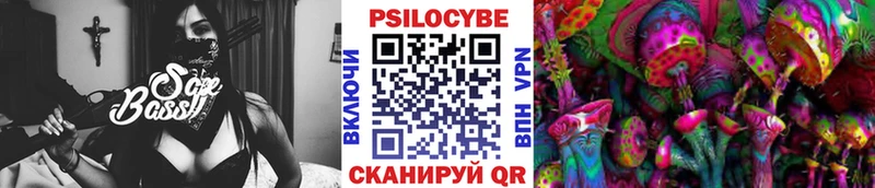 Галлюциногенные грибы прущие грибы  Купить  Иннополис 